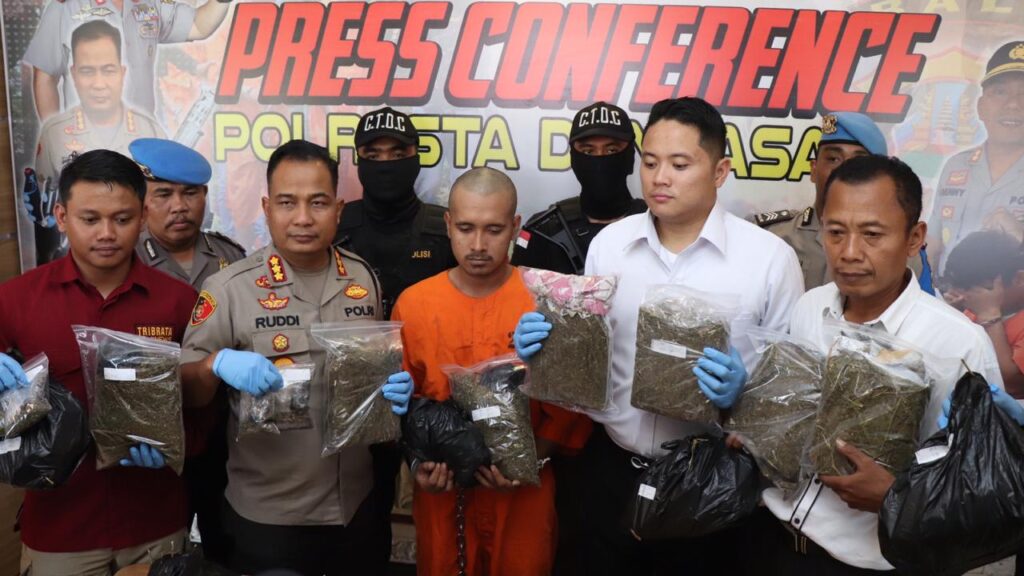 Penangkapan pemilik ganja oleh polresta denpasar.
