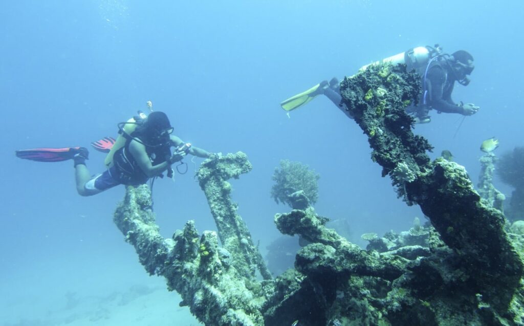 Kemenparekraf Ajak Pelaku Wisata Selam Siapkan Strategi Promosi Usai Pandemi. (ist)