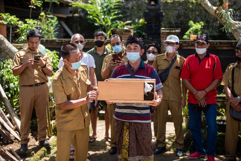 Yayasan Begawan Melepas Sepasang Jalak Bali Bersama Komunitas Lokal. (ist)