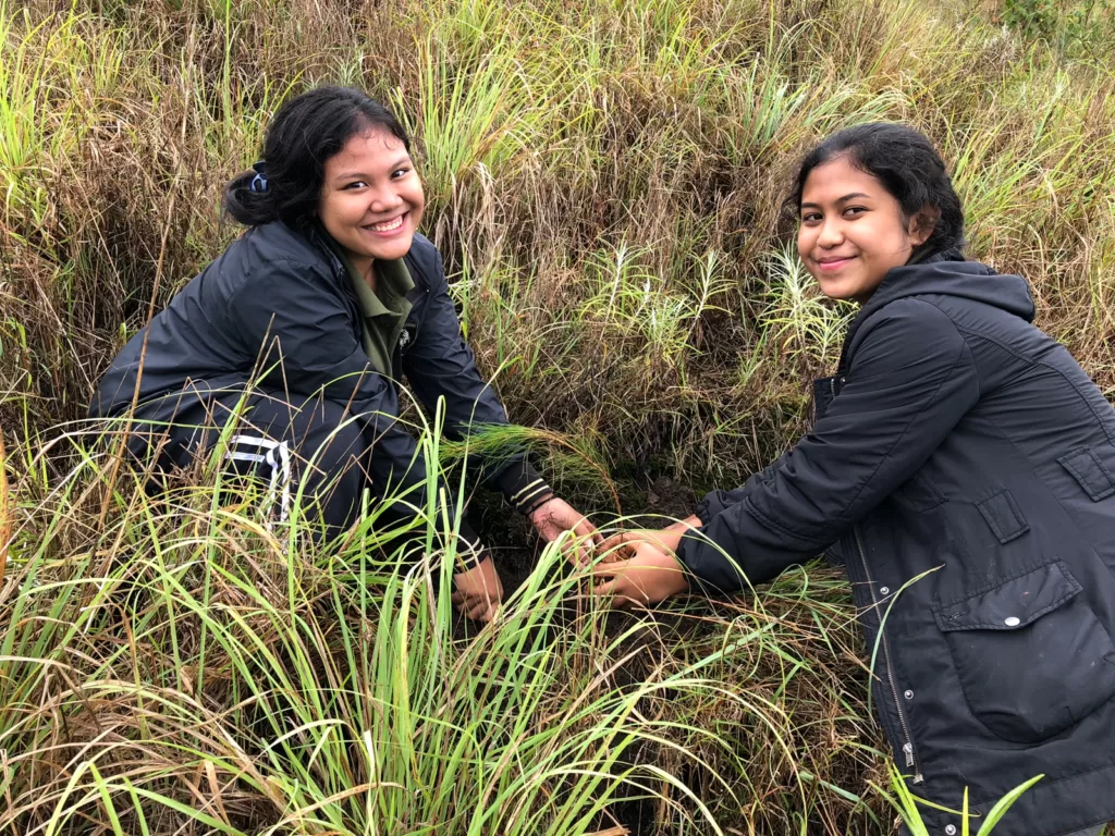 Forum Alumni Gitakita Tanam 600 Pohon Pinus di Gunung Batur