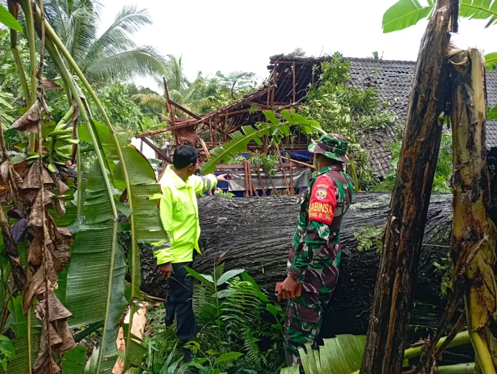 Pohon Wani Tumbang Timpa Kandang Ayam di Bangli
