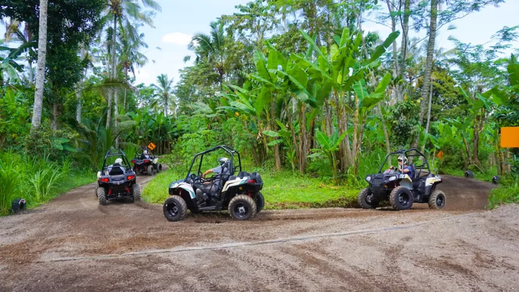 Desa Swan Villas & SPA Keramas