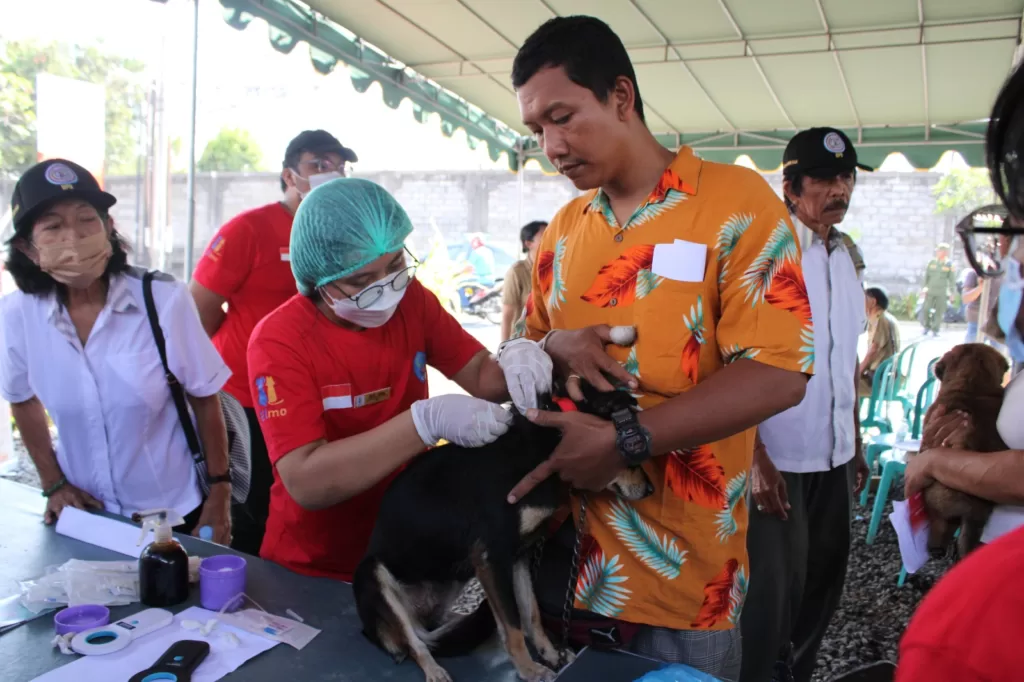 Desa Sanur Kaja Luncurkan Inovasi Pemasangan Microchip pada Hewan Peliharaan