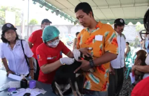 Desa Sanur Kaja Luncurkan Inovasi Pemasangan Microchip pada Hewan Peliharaan Desa Sanur Kaja Luncurkan Inovasi Pemasangan Microchip pada Hewan Peliharaan
