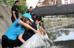 The 1O1 Bali Fontana Seminyak Lepas Ribuan Bibit Ikan di Tukad Mati Legian