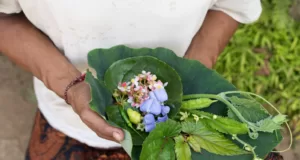 Rayakan Musim Liburan, Syrco BASÈ Hadirkan Perayaan Kuliner Perpaduan Inovasi dan Tradisi Syrco BASÈ Hadirkan Perayaan Kuliner Perpaduan Inovasi dan Tradisi