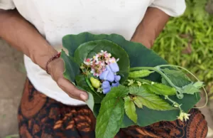 Rayakan Musim Liburan, Syrco BASÈ Hadirkan Perayaan Kuliner Perpaduan Inovasi dan Tradisi Syrco BASÈ Hadirkan Perayaan Kuliner Perpaduan Inovasi dan Tradisi