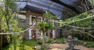 Sanctoo Suites & Villas Luncurkan Kamar dengan Pemandangan Lemur dan Burung Merak Sanctoo Suites & Villas meluncurkan tipe kamar terbarunya yakni Family Suite Aviary
