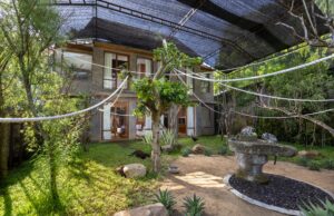 Sanctoo Suites & Villas Luncurkan Kamar dengan Pemandangan Lemur dan Burung Merak Sanctoo Suites & Villas meluncurkan tipe kamar terbarunya yakni Family Suite Aviary