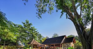 Naga Eight Luncurkan Ruang Acara Strategis dengan Kuliner Tiongkok yang Lezat di Sanur Naga Eight, Sanur.