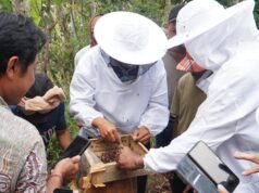 Budidaya Lebah Tak Bersengat sebagai Upaya Pemberdayaan Masyarakat dan Konservasi Lingkungan di Kalanganyar Kaler, Karangasem Pelatihan budidaya lebah tak bersengat di Banjar Dinas Kalanganyar Kaler, Desa Seraya Barat, Karangasem.