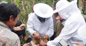 Budidaya Lebah Tak Bersengat sebagai Upaya Pemberdayaan Masyarakat dan Konservasi Lingkungan di Kalanganyar Kaler, Karangasem Pelatihan budidaya lebah tak bersengat di Banjar Dinas Kalanganyar Kaler, Desa Seraya Barat, Karangasem.