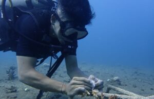 Kembangkan Desa Wisata Bawah Air Bali Utara, Dosen Ilmu Kelautan UNUD Lakukan Transplantasi Terumbu Karang Kembangkan Desa Wisata Bawah Air Bali Utara, Dosen Ilmu Kelautan UNUD Lakukan Transplantasi Terumbu Karang