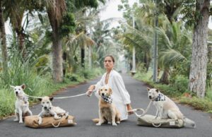 Kali Dogwear: Menyelamatkan Anjing Jalanan dan Lingkungan Indonesia Kali Dogwear.