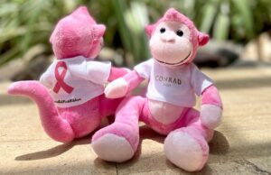 Peringati Bulan Peduli Kanker Payudara, Conrad Bali Gelar Inisiatif Unik Dukung Yayasan Lokal Peringati Bulan Peduli Kanker Payudara, Conrad Bali Gelar Inisiatif Unik Dukung Yayasan Lokal