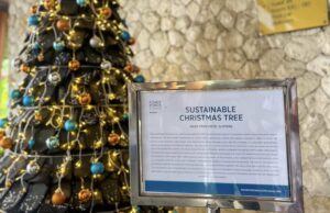 Four Points By Sheraton Bali, Ungasan Hadirkan Inovasi Pohon Natal dari 1.000 Sandal Hotel Bekas Four Points By Sheraton Bali, Ungasan Hadirkan Inovasi Pohon Natal dari 1.000 Sandal Hotel Bekas