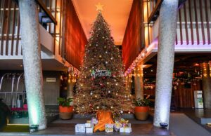 Perpaduan Pesona Tropis dan Kemewahan Perayaan Natal dan Tahun Baru di Hotel Bintang 4 di Kuta Perpaduan Pesona Tropis dan Kemewahan Perayaan Natal dan Tahun Baru di The 101 Bali Fontana Seminyak.