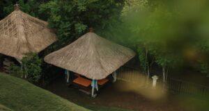 Bernapas, Rileks, dan Pulihkan Diri di Tengah Hijaunya alam dan Ketentraman Sungai Wos, Ubud