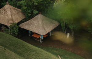 Bernapas, Rileks, dan Pulihkan Diri di Tengah Hijaunya alam dan Ketentraman Sungai Wos, Ubud