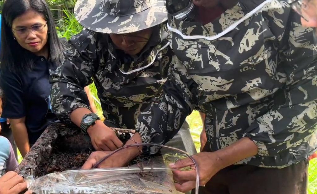 Program Studi Biologi, FMIPA, Universitas Udayana melaksanakan kegiatan pengembangan green economy bagi Kelompok Tani Alam Lestari melalui budidaya lebah tak bersengat karena fokus pada faktor ekonomi dan konservasi lingkungan. 