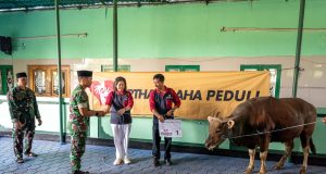 Rayakan Idul Adha, Discovery Kartika Plaza Hotel Salurkan Hewan Kurban di Bali dan Lombok Rayakan Idul Adha, Discovery Kartika Plaza Hotel Salurkan Hewan Kurban di Bali dan Lombok