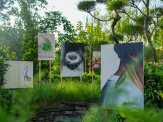 FOTO Bali Festival 2026, Perkuat Posisi Bali sebagai Platform Baru Fotografi di Asia Tenggara FOTO Bali Festival 2026