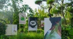 FOTO Bali Festival 2026, Perkuat Posisi Bali sebagai Platform Baru Fotografi di Asia Tenggara FOTO Bali Festival 2026