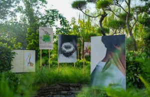 FOTO Bali Festival 2026, Perkuat Posisi Bali sebagai Platform Baru Fotografi di Asia Tenggara FOTO Bali Festival 2026