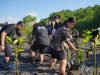 Peringati World Mangrove Day, Eco Tourism Bali Ajak Industri Hospitality Tanam 410 Mangrove Peringati World Mangrove Day, Eco Tourism Bali Ajak Industri Hospitality Tanam 410 Mangrove