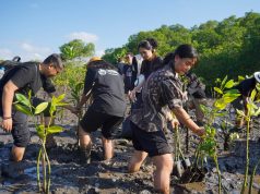 Peringati World Mangrove Day, Eco Tourism Bali Ajak Industri Hospitality Tanam 410 Mangrove Peringati World Mangrove Day, Eco Tourism Bali Ajak Industri Hospitality Tanam 410 Mangrove