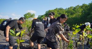 Peringati World Mangrove Day, Eco Tourism Bali Ajak Industri Hospitality Tanam 410 Mangrove Peringati World Mangrove Day, Eco Tourism Bali Ajak Industri Hospitality Tanam 410 Mangrove