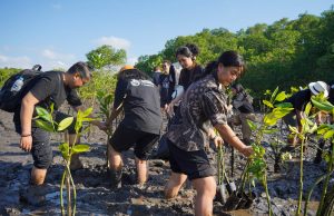 Peringati World Mangrove Day, Eco Tourism Bali Ajak Industri Hospitality Tanam 410 Mangrove Peringati World Mangrove Day, Eco Tourism Bali Ajak Industri Hospitality Tanam 410 Mangrove