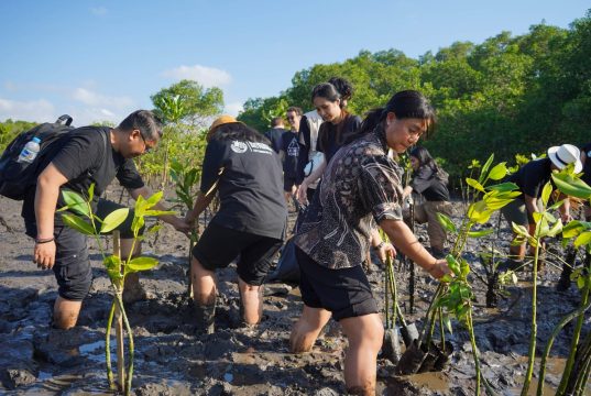 Peringati World Mangrove Day, Eco Tourism Bali Ajak Industri Hospitality Tanam 410 Mangrove Peringati World Mangrove Day, Eco Tourism Bali Ajak Industri Hospitality Tanam 410 Mangrove