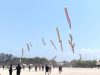 763 Layangan Ramaikan Hari Pertama Denpasar Kite Festival ke-10 di Pantai Mertasari Sanur 763 Layangan Ramaikan Hari Pertama Denpasar Kite Festival ke-10 di Pantai Mertasari Sanur