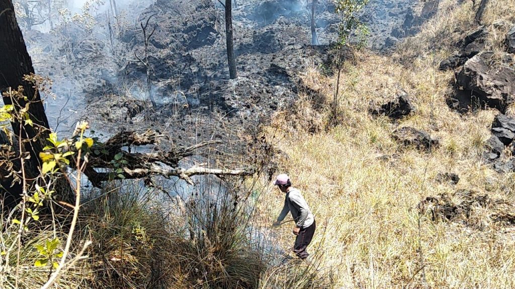 Musim Kemarau, 2 Hektare Lahan Hutan Terbakar di Blok Seked Gunung Batur