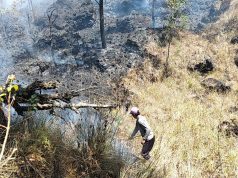 Musim Kemarau, 2 Hektare Lahan Hutan Terbakar di Blok Seked Gunung Batur Musim Kemarau, 2 Hektare Lahan Hutan Terbakar di Blok Seked Gunung Batur