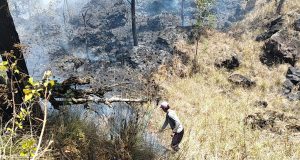 Musim Kemarau, 2 Hektare Lahan Hutan Terbakar di Blok Seked Gunung Batur Musim Kemarau, 2 Hektare Lahan Hutan Terbakar di Blok Seked Gunung Batur