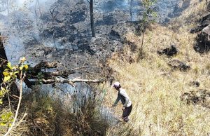 Musim Kemarau, 2 Hektare Lahan Hutan Terbakar di Blok Seked Gunung Batur Musim Kemarau, 2 Hektare Lahan Hutan Terbakar di Blok Seked Gunung Batur