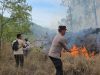 Hutan Wisata Yehmampeh Terbakar, Damkar Bangli Kewalahan Jangkau Titik Api Hutan Wisata Yehmampeh Terbakar, Damkar Bangli Kualahan Jangkau Titik Api