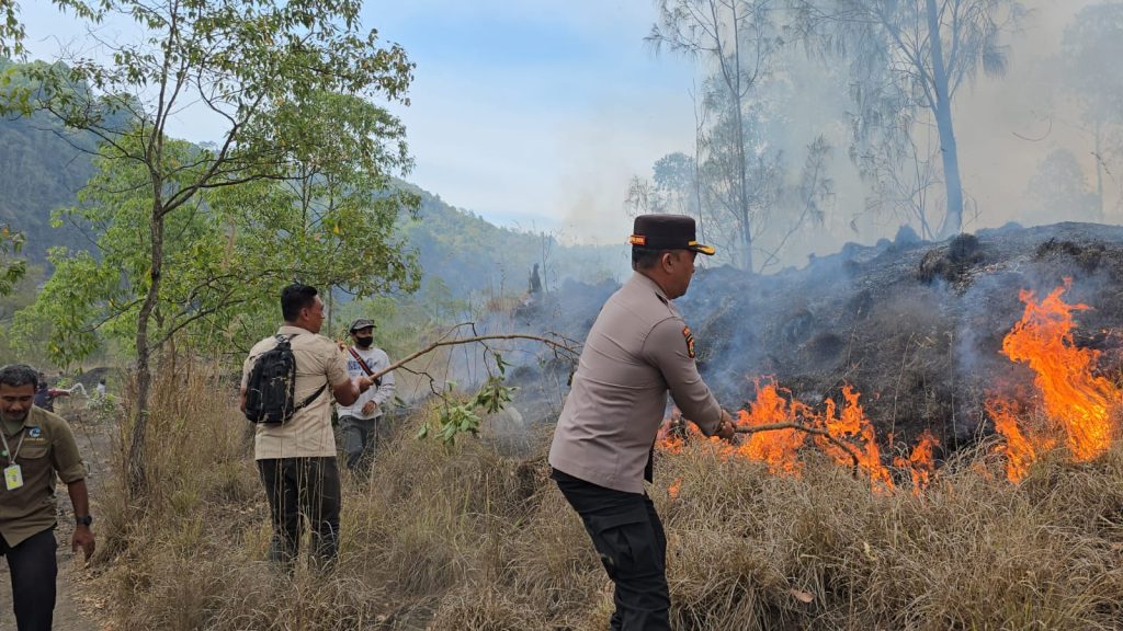 Hutan Wisata Yehmampeh Terbakar, Damkar Bangli Kualahan Jangkau Titik Api