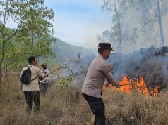 Hutan Wisata Yehmampeh Terbakar, Damkar Bangli Kewalahan Jangkau Titik Api Hutan Wisata Yehmampeh Terbakar, Damkar Bangli Kualahan Jangkau Titik Api
