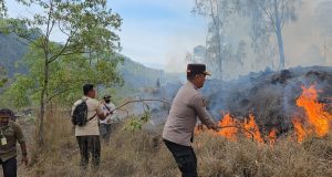Hutan Wisata Yehmampeh Terbakar, Damkar Bangli Kewalahan Jangkau Titik Api Hutan Wisata Yehmampeh Terbakar, Damkar Bangli Kualahan Jangkau Titik Api