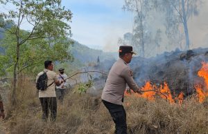 Hutan Wisata Yehmampeh Terbakar, Damkar Bangli Kewalahan Jangkau Titik Api Hutan Wisata Yehmampeh Terbakar, Damkar Bangli Kualahan Jangkau Titik Api
